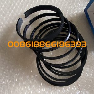 Genuine Spare Parts WP6G/WD10G/WP10 Engine PARTS 13070648 PISTON RING