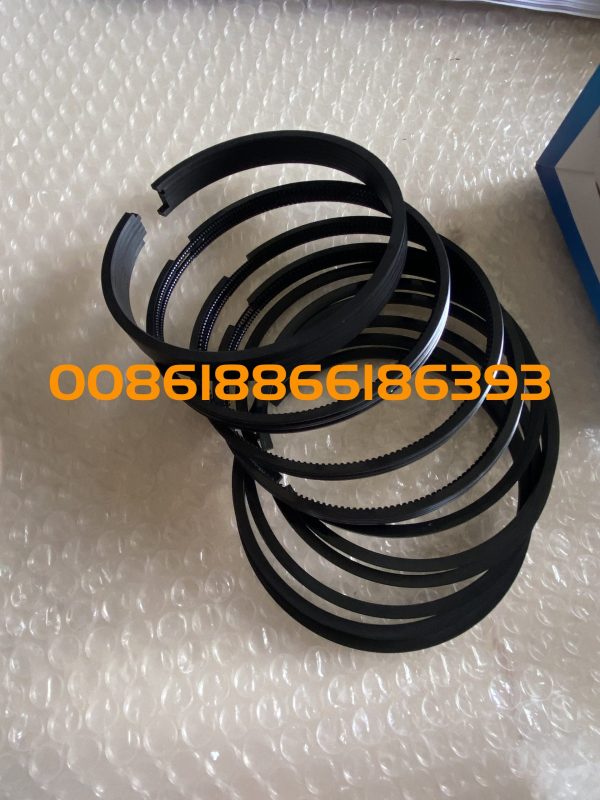 Genuine Spare Parts WP6G/WD10G/WP10 Engine PARTS 13070648 PISTON RING