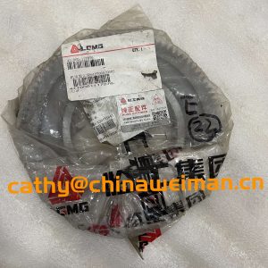 Original LGMG MT85 MT86 MT86H Dump Truck Parts 4110001117079 GEAR  612700020002