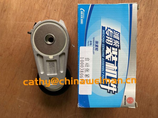 Genuine LGMG MT86 MT86H Dump Truck Parts 4110001574037 Belt Tension 1000380692