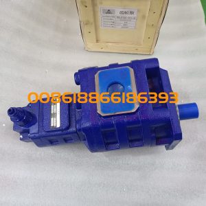SDLG LG936L Wheel Loader Gear Pump 4120001058 CBGJ3100/1010-XF