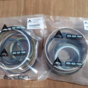 Original SDLG LG936L LG956F LG958 Wheel Loader Spare Parts 4120007808006 Sealing kit