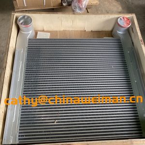 Genuine LGMG MT86 MT86H Dump Truck Parts 4110001314 Radiator